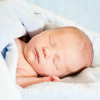 /album/ischool/batkam1-1-jpg/