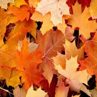 /album/ischool/a18-jpg/